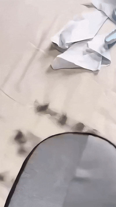 Lilla Swipe™ – Pet Hair Removal Glove